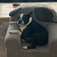 User profile