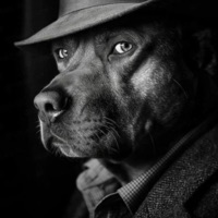 User profile image
