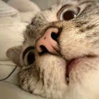 User profile image