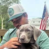 User profile image