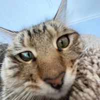 User profile image