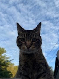 Brenda