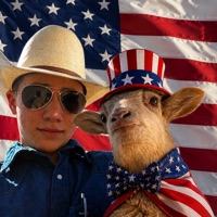 User profile image