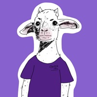 User profile