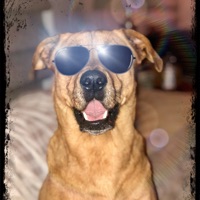 Hutch