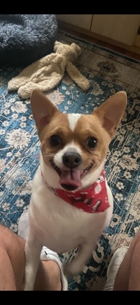 Frank