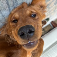 User profile image