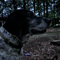 User profile image