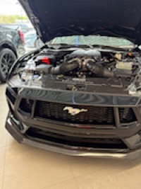 Ryan