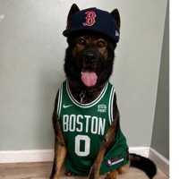 User profile image