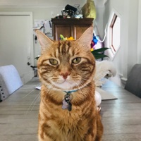 User profile