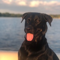 User profile image
