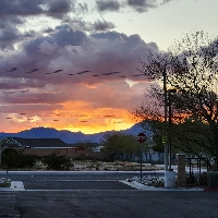 Lai Flo