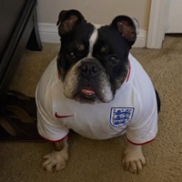 User profile image