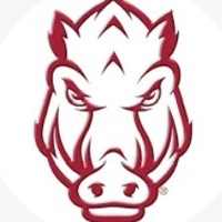 Hog City Cards