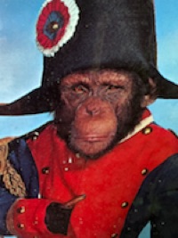 Mike Coykendall