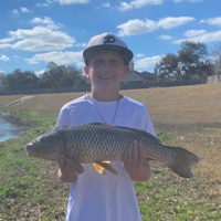 Austin