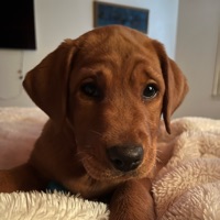 User profile image