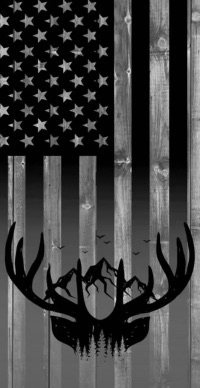 Cree Maddox Andry
