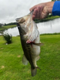 Gunnar Gipson