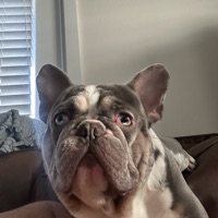 User profile image