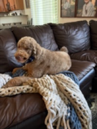 Ben