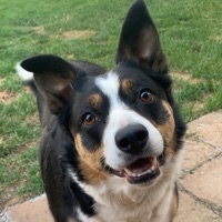 User profile image