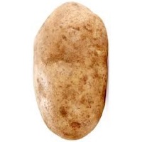 Andrew