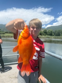 Jett