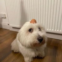 User profile image