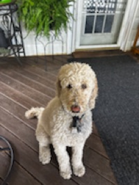 Mason