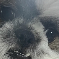Victor