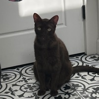 User profile image