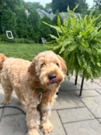 Charlie M