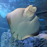 User profile