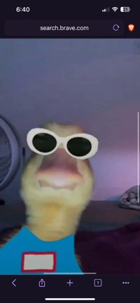 DUCK ARMY