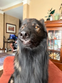 User profile