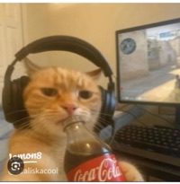 User profile