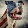 7nine Patriot