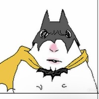 User profile image