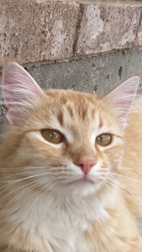 User profile image