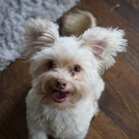 User profile image