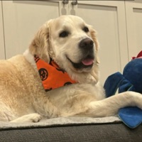 User profile image