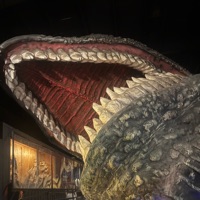 User profile image