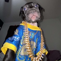User profile image