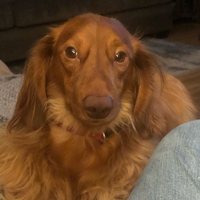 Tim