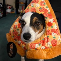 Jack Fendrick
