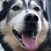 User profile image