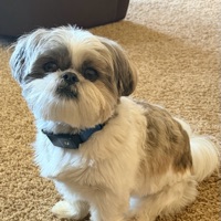 User profile