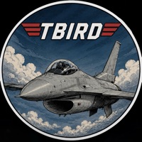 TBirdCards (FREE SHIPPING!!!)